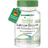 Fairvital | Lactase Tabletten - Vegetarisch - 4500 FCC pro Tablette - bei Laktoseintoleranz - mit Pfefferminz-Aroma - 90 Kautabletten