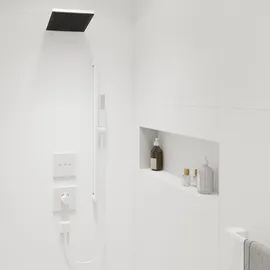 Hansgrohe Pulsify E Duschkopf 260 (24350700)