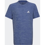 adidas Kinder Shirt B HEATHER TEE, ROYBLU/ALMBLU/WHITE, 140