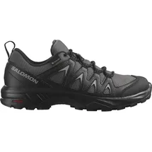 Salomon X Braze Goretex Wanderschuhe - Magnet / Black / Black - EU 36 2/3