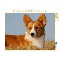 Calvendo Puzzle