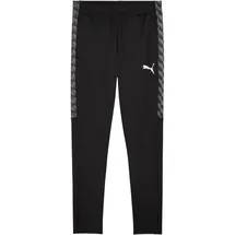 Puma teamLIGA26 Training Pants L