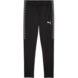 Puma teamLIGA26 Training Pants L