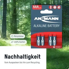 Ansmann Alkaline Micro/Mignon 40St.