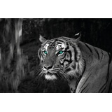 Bönninghoff Keilrahmenbild Tiger«, (1 St.), schwarz