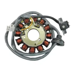 TECNIUM Stator - Minarelli horizontal 12 Spulen