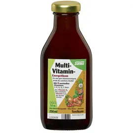 SALUS Multi-Vitamin-Energetikum Tonikum 500 ml