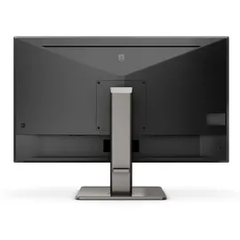Philips P-Line 439P1/00 43"