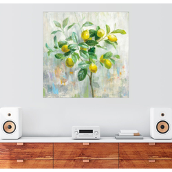 Posterlounge Wandbild, Zitronenbaum 70 cm x 70 cm