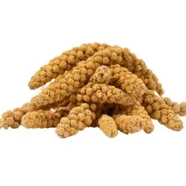 Lyra Pet Kolbenhirse gelb Wellensittiche 5 kg