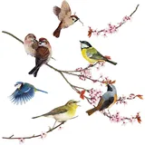 KOMAR Windowsticker Birds 31 x 31 cm