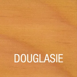 Bondex Douglasien-Öl 2,5 l matt