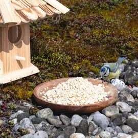 Lyra Pet Erdnusskerne weiß gehackt 10 kg in 30 L Tonne