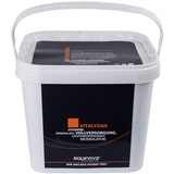 Equinova Vitalysan Powder Pulver 10 kg