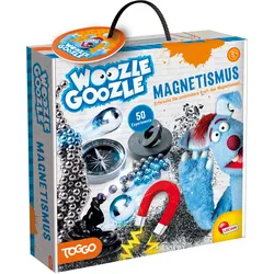 Lisciani DE89345WG - Woozle Goozle Magnetismus