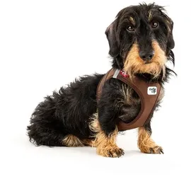 Curli Clasp Softshell schwarz 2XS