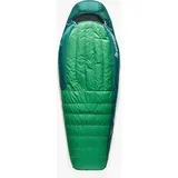 Sea to Summit Ascent -1C Down Sleeping Bag rain forest green