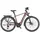 KTM Macina Style 720 2025 28 Zoll RH 46 cm sunset matt/champagne black
