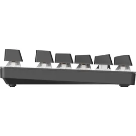 Rapoo V500PRO 2.4 mechanisch DE