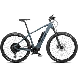 E-Mountainbike 29 Zoll RR700e Bosch Performance CX 545 Wh grün matt L