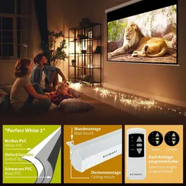 eSmart Germany MIMOTO 400 x 225 cm (180") 16:9