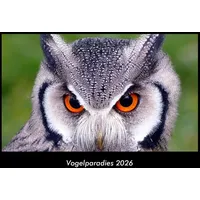 Vero Kalender Vogelparadies 2026 Fotokalender DIN A3 von Tobias