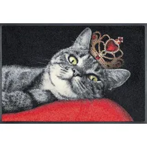 Wash+Dry Royal Cat 50 x 75 cm Rot/Schwarz