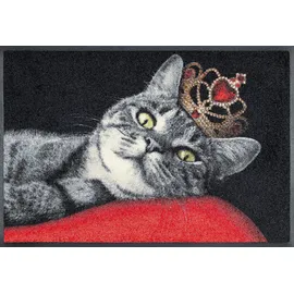 Wash+Dry Royal Cat 50 x 75 cm Rot/Schwarz