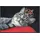 Wash+Dry Royal Cat 50 x 75 cm Rot/Schwarz