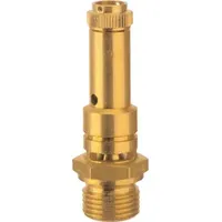 Riegler Sicherheitsventil DN 8, Messing, G 3/8, Ansprechdruck 0,7
