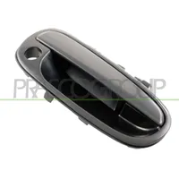 PRASCO Türgriff HN7158001