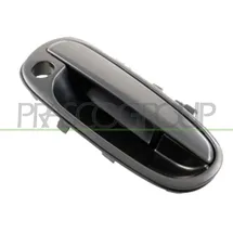 PRASCO Türgriff HN7158001