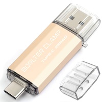 Type C USB-Stick 256GB OTG 2 in 1 Speicherstick Dual-Port USB 3.0 Flash-Laufwerk mit USB C Anschluss für Smartphone, Tablets & Computer (Gold)