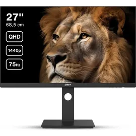 Dahua Gaming-Monitor DHI-LM27-P301A-A5 27" schwarz