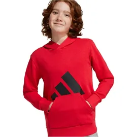 Adidas Essentials Big Logo Kapuzenpullover Pure Ruby / Black 140