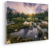 KOMAR Keilrahmenbild im Echtholzrahmen - Gloomy Swamps - Größe 60 x 40 cm - Bild, Leinwandbild, Landschaftsmotiv, Wohnzimmer, Schlafzimmer