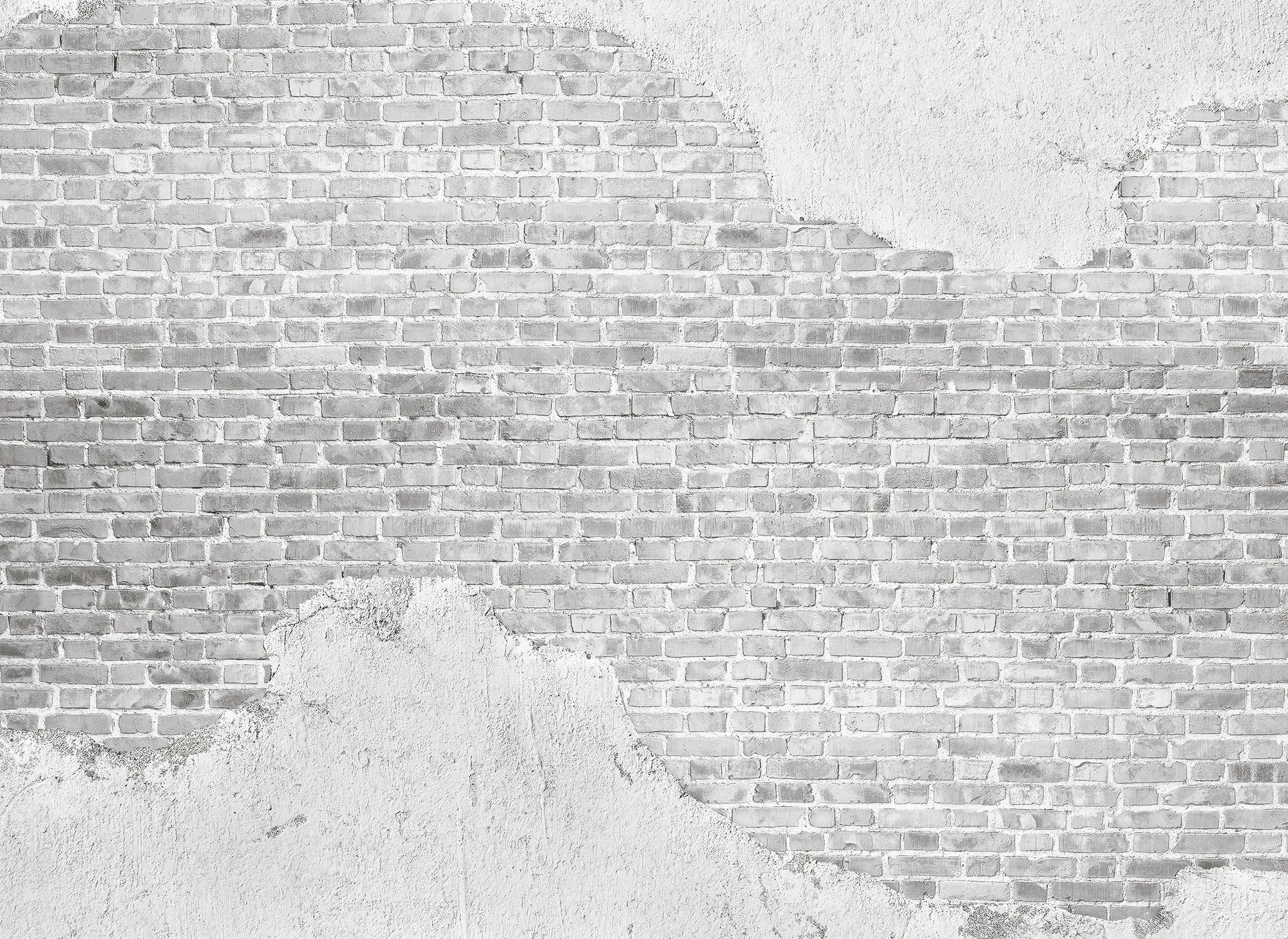Fototapete LIVING WALLS 