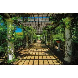 Fototapete PAPERMOON "Garden Walkway", bunt (mehrfarbig), B:3,5m L:2,6m, Vlies, Tapeten