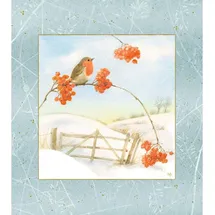 Coppenrath Verlag Wandkalender Wintermorgen mit Rotkehlchen