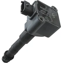BorgWarner (Beru) Zündspule