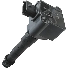 BorgWarner (Beru) Zündspule