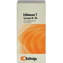 Kattwiga Arzneimittel GmbH Synergon Komplex Echinacea T Tabletten