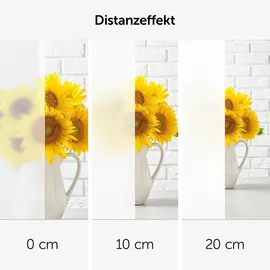 Blumtal Fensterfolie 60x200 cm Blickdicht & statisch haftend + Rakel - zuschneidbare Sichtschutzfolie Fenster + UV-Schutz - Milchglasfolie selbstklebend - Fensterfolie Milchglas Weiß Frosted-Look