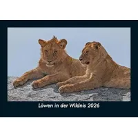 Vero Kalender Löwen in der Wildnis 2026 Fotokalender DIN