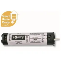 SOMFY Integrierter 24 V DC RTS-Funkempfänger #1870140