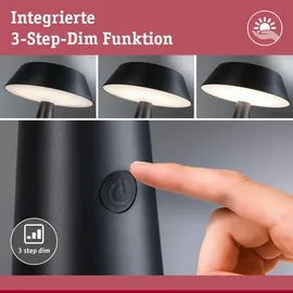 Paulmann Solarleuchte Kunststoff 28,1 cm inkl. LED 165 lm anthrazit