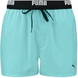 Puma Men's Logo Length Swim Badehose Grün F014