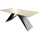 DeLife Esstisch Edge 200x100 Keramik Travertin Natur V-Gestell Flachstahl Schwarz