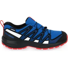 Salomon XA Pro V8 Cswp Wanderschuhe - Lapis Blue / Black / Fiery Red - EU