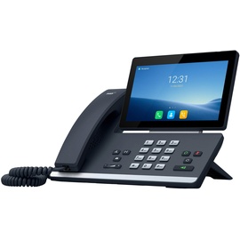 2N Telecommunication 2N D7A IP-Telefon Schwarz LCD WLAN
